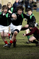 London Wasps Landrover Premiership Cup Festival. Under 11s Action. RGS School. 22-2-09